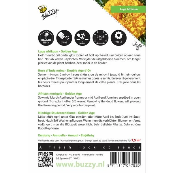Afrikaan Golden Age - Tagetes Erecta 2 Afrikaan Golden Age - Tagetes Erecta - Afbeelding 2