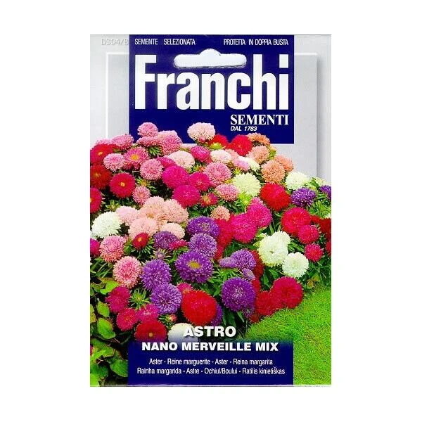 Astro Nano Merveille Mix - Aster Mengsel 1 Astro Nano Merveille Mix - Aster Mengsel