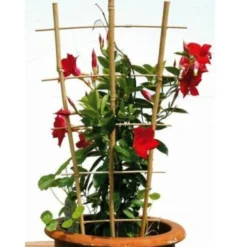 Bamboe Ladder 45 × 110 Cm