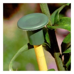 Flexibele Bamboestokdopjes - Set Van 10 Stuks