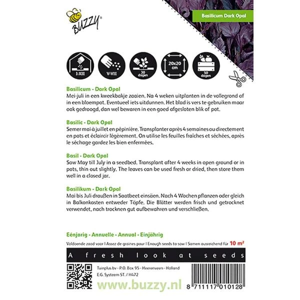 Basilicum Dark Opal - Ocimum Basilicum 2 Basilicum Dark Opal - Ocimum Basilicum - Afbeelding 2