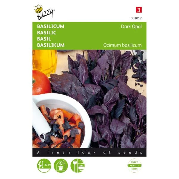 Basilicum Dark Opal - Ocimum Basilicum 1 Basilicum Dark Opal - Ocimum Basilicum
