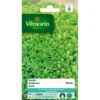 Basilicum Pesto - Ocimum Basilicum