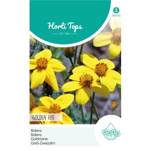 Bidens Golden Eye - Bidens Humilis 1 Bidens Golden Eye - Bidens Humilis