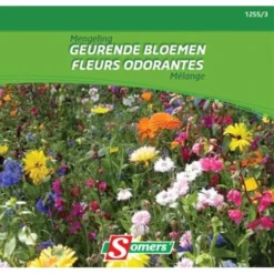 Bloemenmengsel - Geurende Bloemen 20 M²