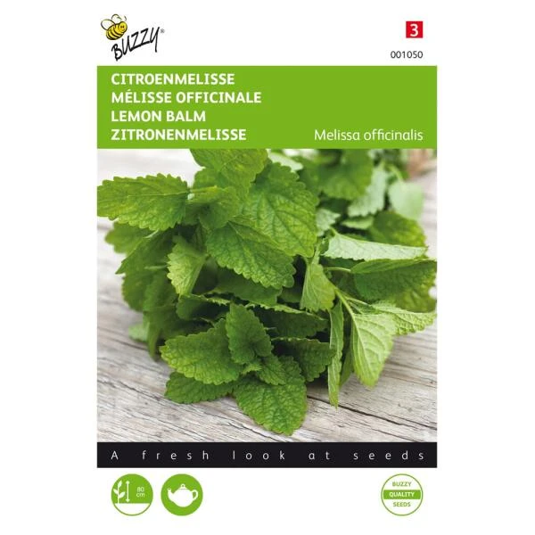 Citroenmelisse - Melissa Officinalis 1 Citroenmelisse - Melissa Officinalis