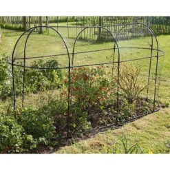 Fruitkooi Lang 3 × 1 × 1,5 M