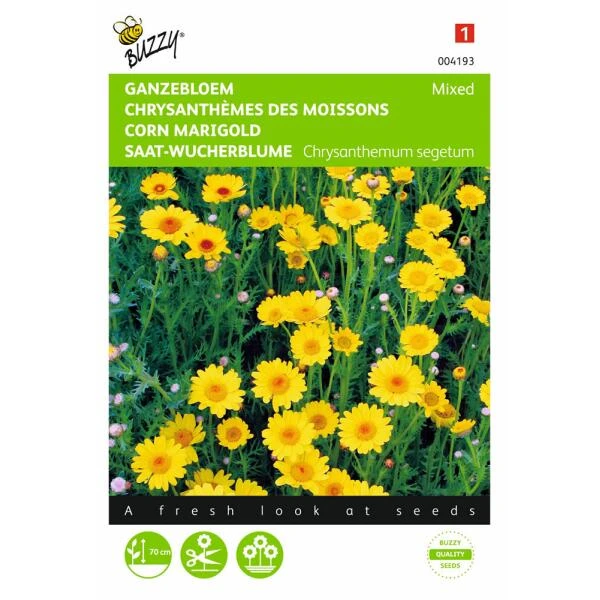 Gele Ganzebloem - Chrysanthemum Segetum 1 Gele Ganzebloem - Chrysanthemum Segetum