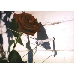 Geleidingssysteem Voor Klimplanten Palissa -Aanbiedingen Tuin Bliss Winkel geleidingssysteem voor klimplanten 1601382137 3 600