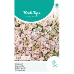 Gipskruid Rosea - Gypsophila Elegans
