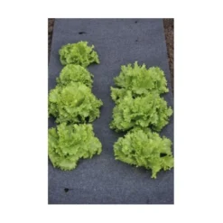 Gronddoek Vilt Met Openingen Voor Sla En Bonen - 60 Cm × 5 M -Aanbiedingen Tuin Bliss Winkel gronddoek voor sla en bonen 60 cm x 5 m 1513845998 3 600