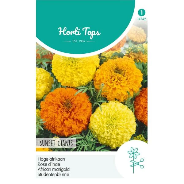 Hoge Afrikaan Sunset Giants - Tagetes Erecta