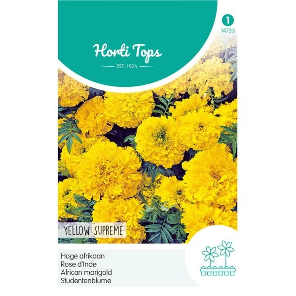 Hoge Afrikaan Yellow Supreme - Tagetes Erecta 1 Hoge Afrikaan Yellow Supreme - Tagetes Erecta