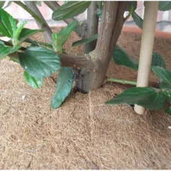 Jute Afdekring - Ø 37 Cm -Aanbiedingen Tuin Bliss Winkel jute afdekring 37 cm 1484065592 4 600