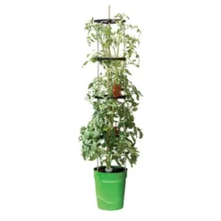 Klimplantentoren 150 Cm Met Bewateringssysteem - Groen 11 Klimplantentoren 150 Cm Met Bewateringssysteem - Groen -Aanbiedingen Tuin Bliss Winkel klimplantentoren met bewateringssysteem 1519073635 1 600