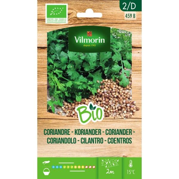 Koriander BIO 1 Koriander BIO