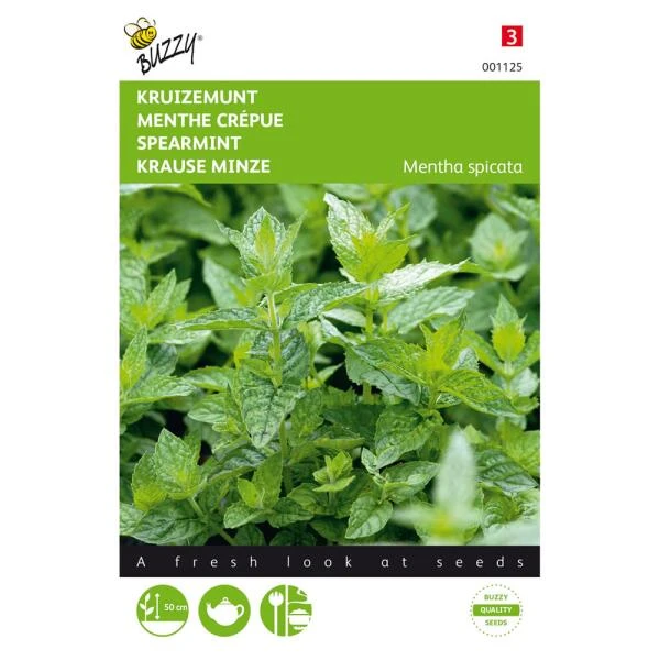 Kruizemunt - Mentha Spicata 1 Kruizemunt - Mentha Spicata
