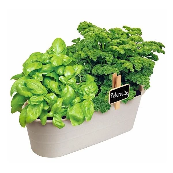 Kweekset Basilicum En Peterselie 2 Kweekset Basilicum En Peterselie - Afbeelding 2