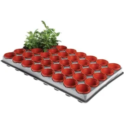 Tray Met 40 Kweekpotjes 6 Cm -Aanbiedingen Tuin Bliss Winkel kweektray 40 potjes 6 cm 1599819541 1 600
