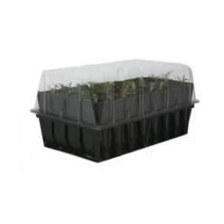 Kweektray Rapid Roots - 32 Cellen -Aanbiedingen Tuin Bliss Winkel kweektray rapid roots 32 cellen 1521399839 2 600