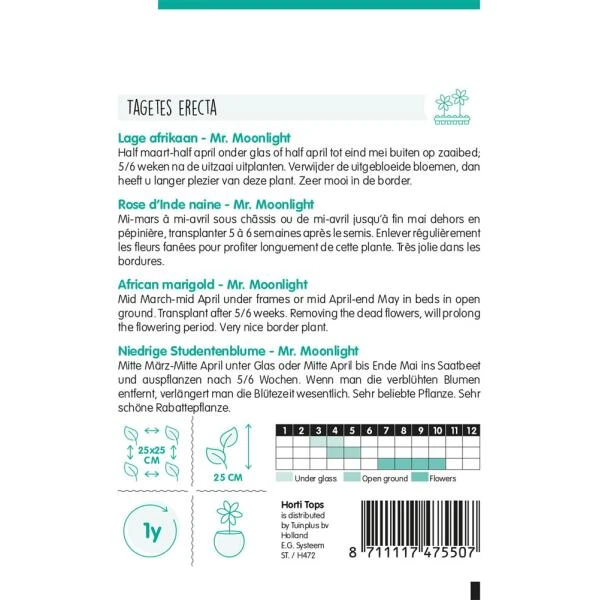 Lage Afrikaan Moonlight - Tagetes Erecta Nana - Afbeelding 2