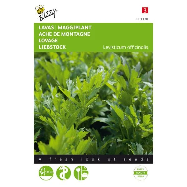 Lavas Of Maggikruid - Levisticum Officinalis 1 Lavas Of Maggikruid - Levisticum Officinalis