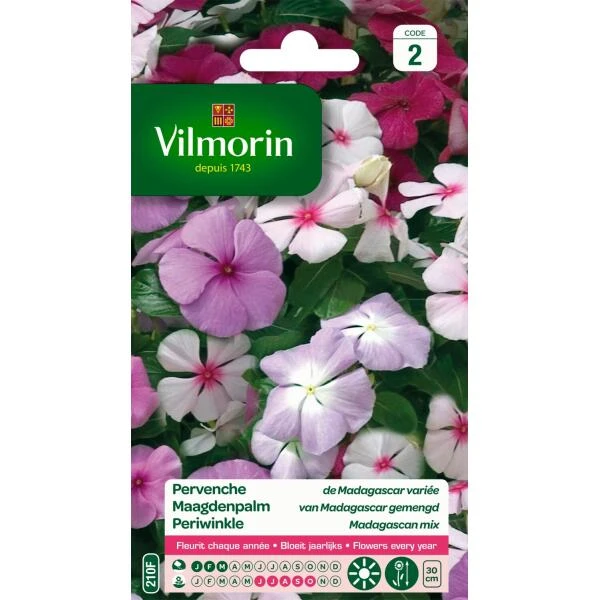 Maagdenpalm Van Madagascar - Vinca Rosea 1 Maagdenpalm Van Madagascar - Vinca Rosea