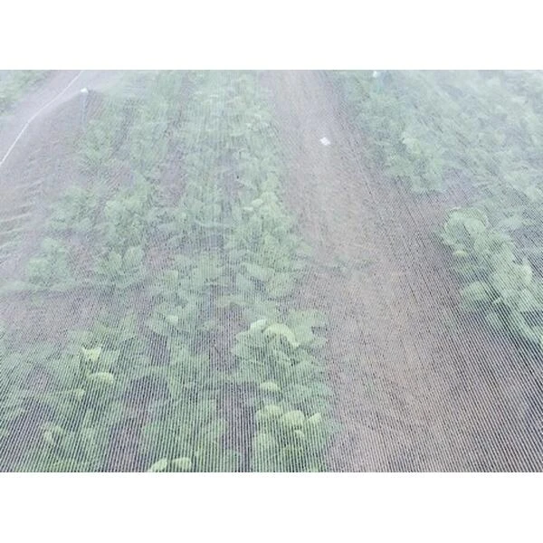 Insectengaas / Klimaatdoek 2 M × 10 M 1 Insectengaas / Klimaatdoek 2 M × 10 M