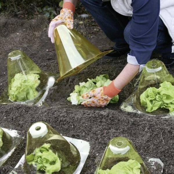 Kunstof PET Plantenhoed - Geel - Set Van 12 Stuks 2 Kunstof PET Plantenhoed - Geel - Set Van 12 Stuks - Afbeelding 2