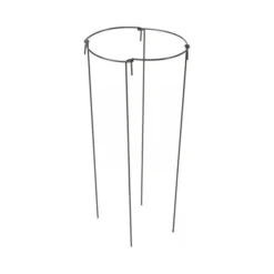 Plantensteun Rond 20 × 50 Cm