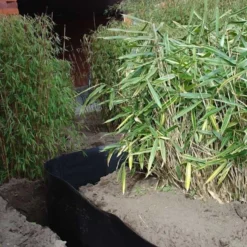 Rootblock Professionele Wortelwering 60 Cm Hoog - / Strekkende Meter -Aanbiedingen Tuin Bliss Winkel rootblock professionele wortelwering 1552733360 3 600