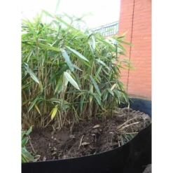 Rootblock Professionele Wortelwering 60 Cm Hoog - / Strekkende Meter -Aanbiedingen Tuin Bliss Winkel rootblock professionele wortelwering 1552733360 5 600