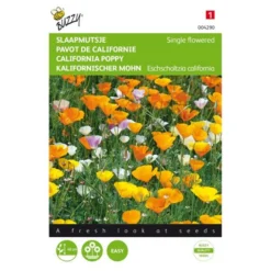 Slaapmutsje - Eschscholzia Californica