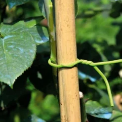 Binddraad Met Rubbercoating - Soft Tie Ø 3 Mm