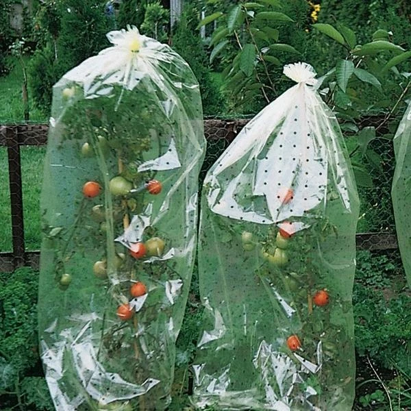 Tomatenhoezen 10 × 0,65 M 1 Tomatenhoezen 10 × 0,65 M