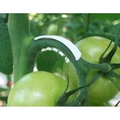 Tomaten Trossteun Wit - Set Van 100 Stuks -Aanbiedingen Tuin Bliss Winkel tomatentrossteunen 1484056718 3 600