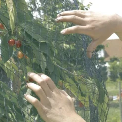 Vogelnet Beschermnet - Pronet 5 × 12 M