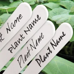 Waterbestendige Stift Zwart Voor Plantenlabels