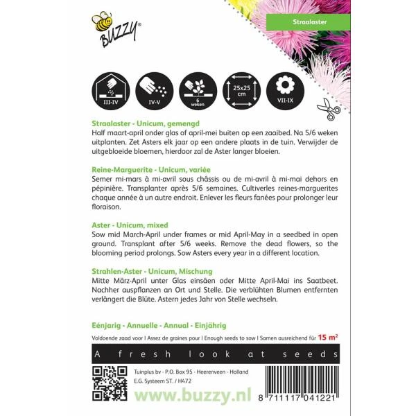 Zomeraster Unicum - Callistephus Chinensis - Afbeelding 2